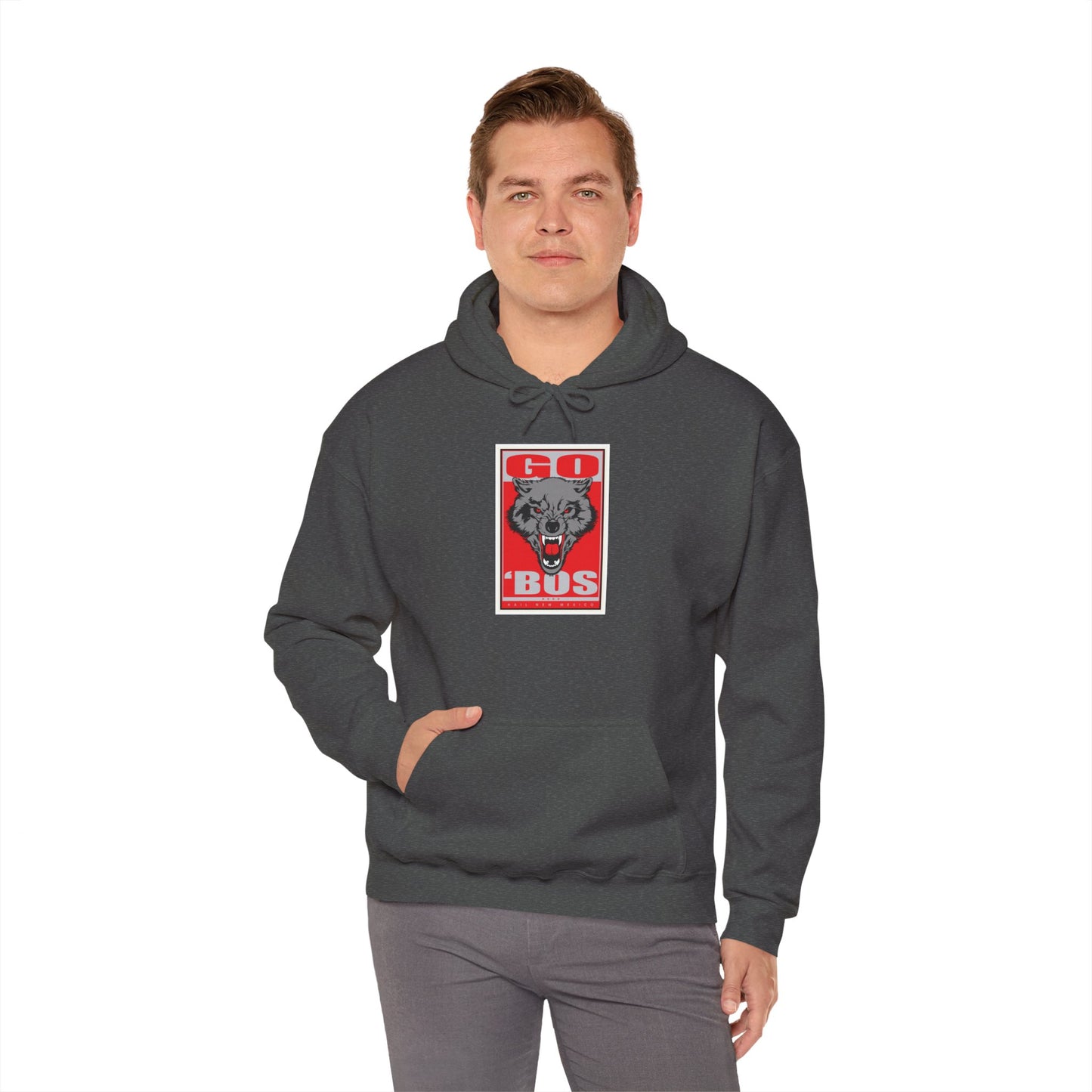 New Mexico Hoodie