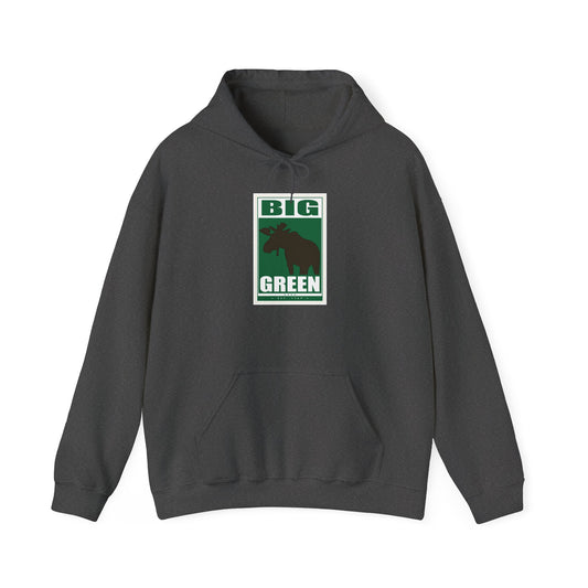 Dartmouth Hoodie