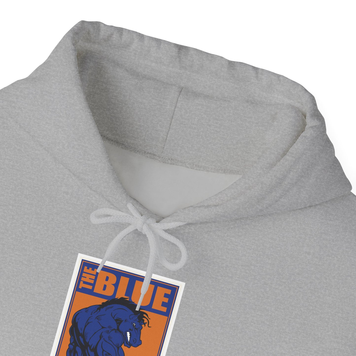 Boise State Hoodie