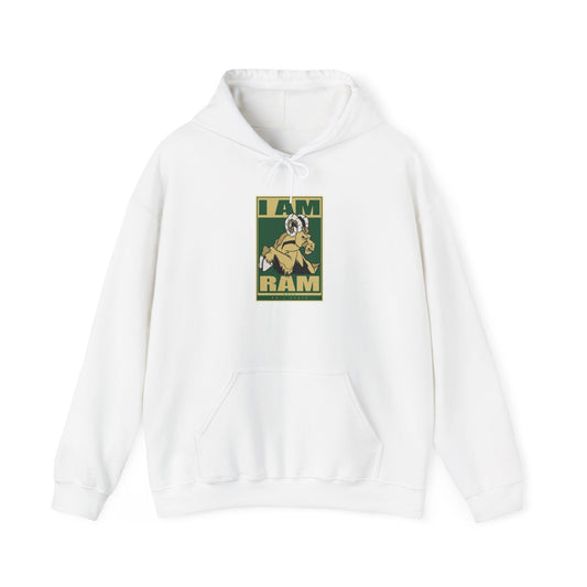 Colorado State Hoodie