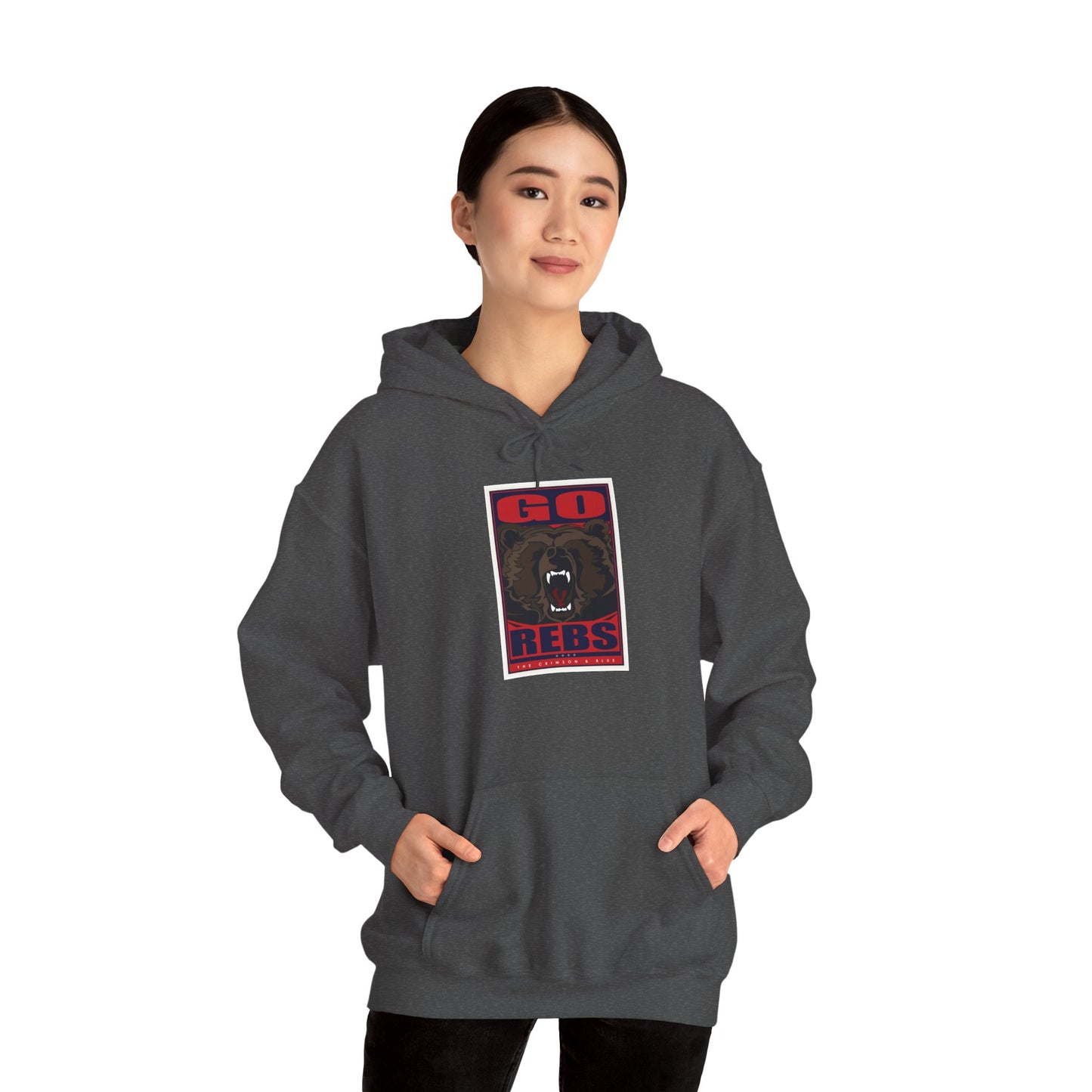 Mississippi Hoodie