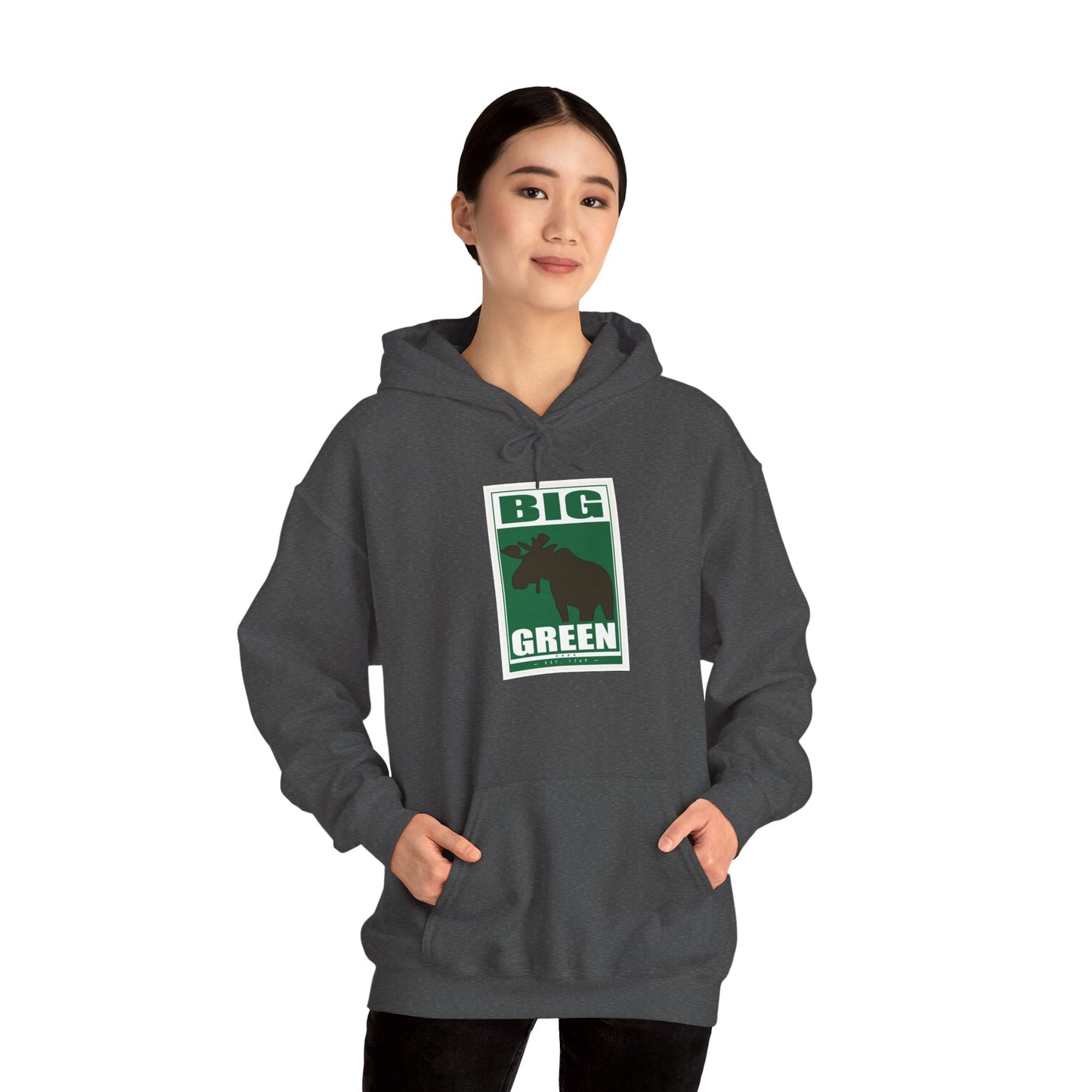Dartmouth Hoodie
