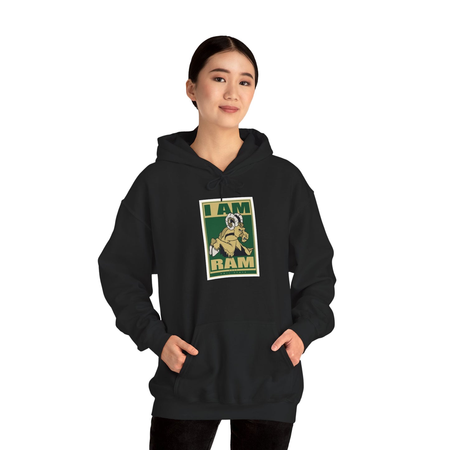 Colorado State Hoodie