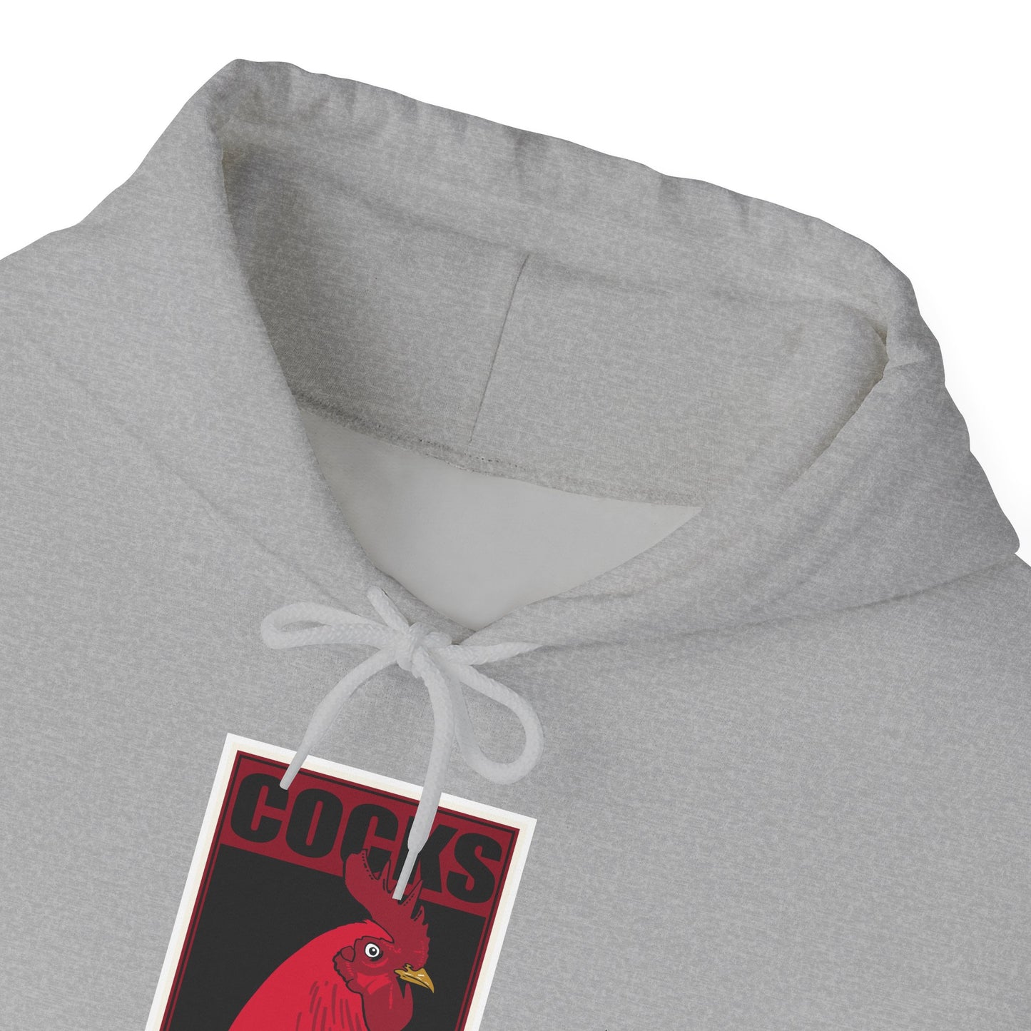 South Carolina Hoodie