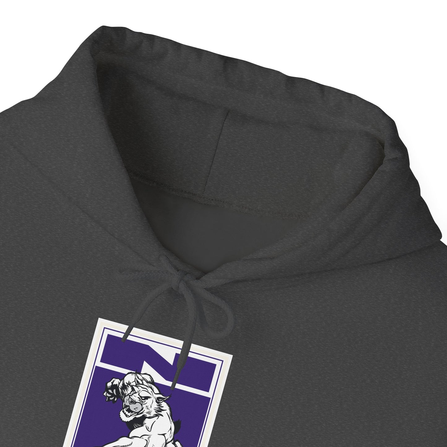 Northwestern Hoodie