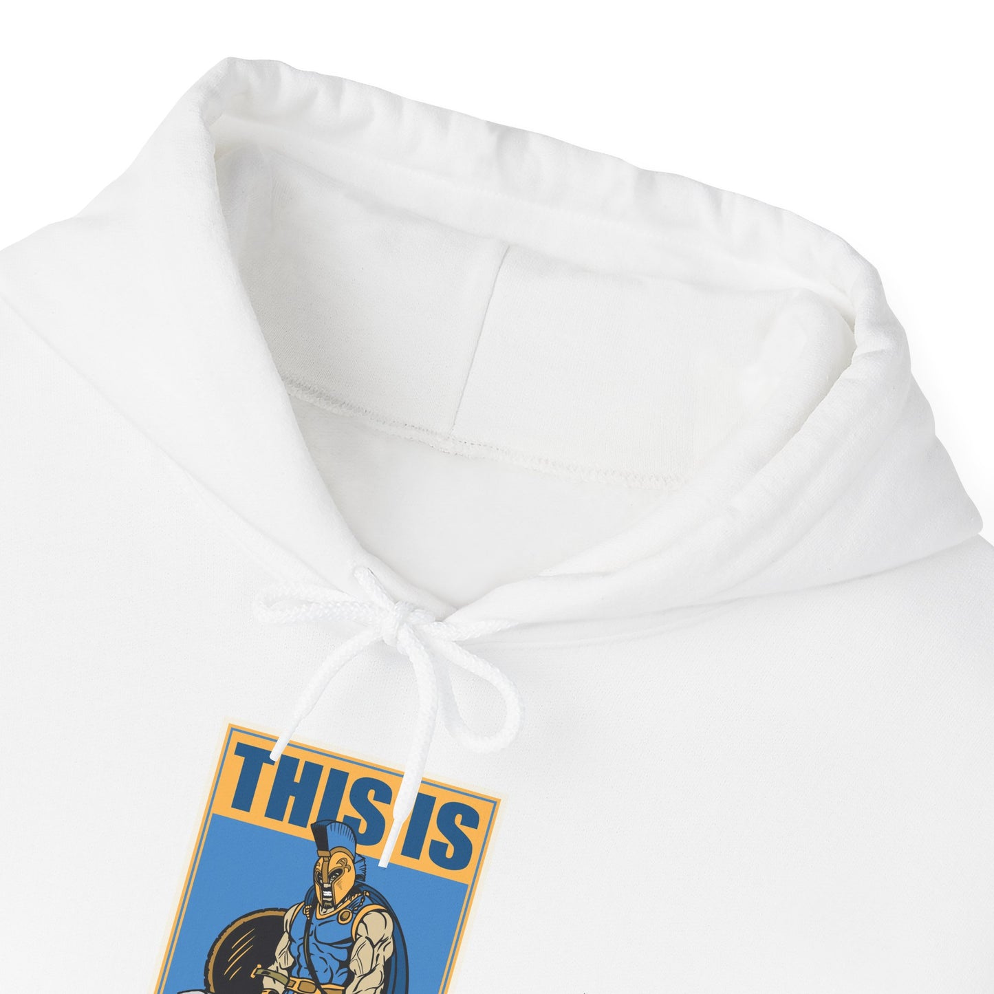 San Jose State Hoodie