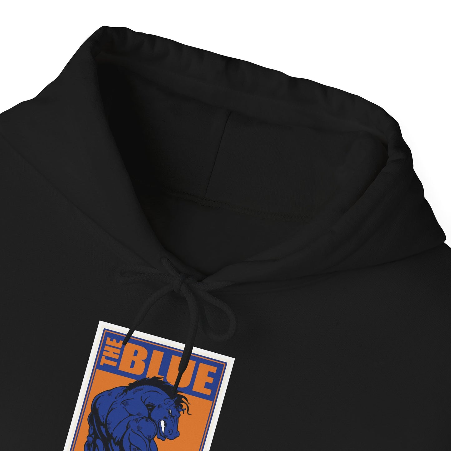 Boise State Hoodie
