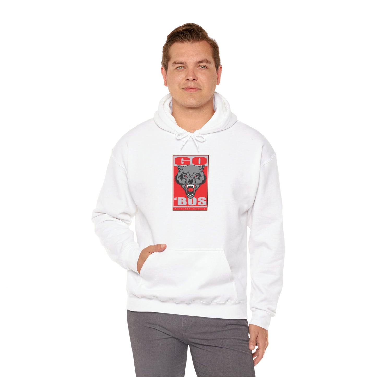 New Mexico Hoodie