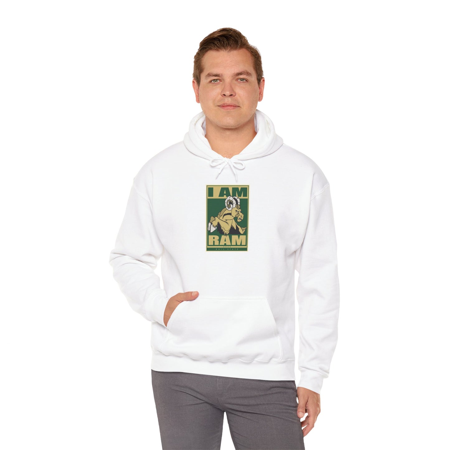 Colorado State Hoodie
