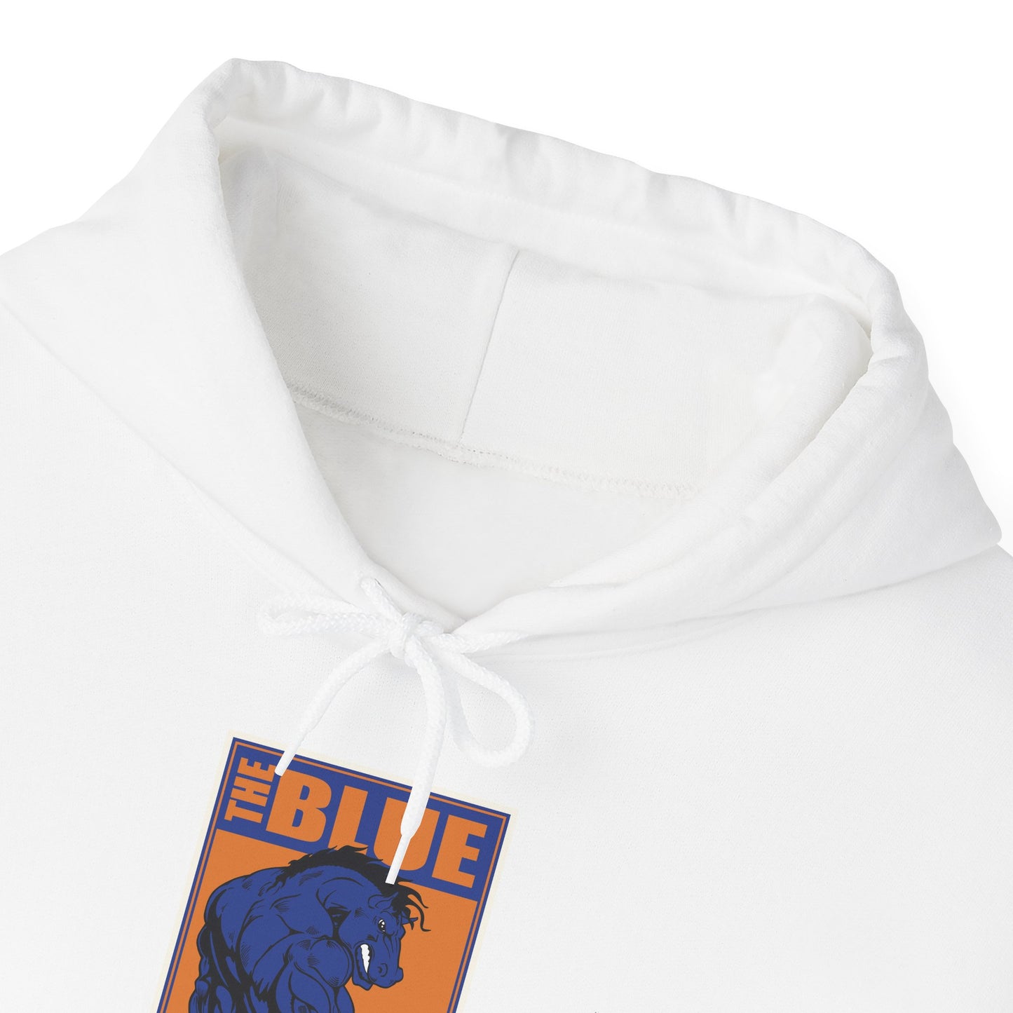 Boise State Hoodie