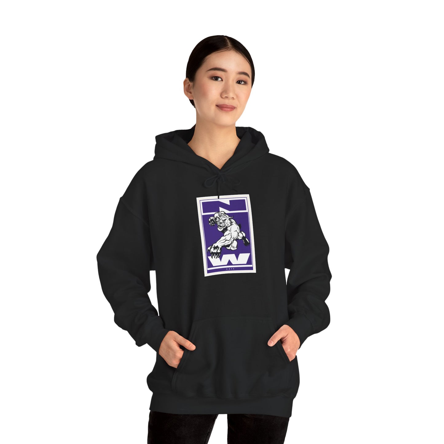 Northwestern Hoodie