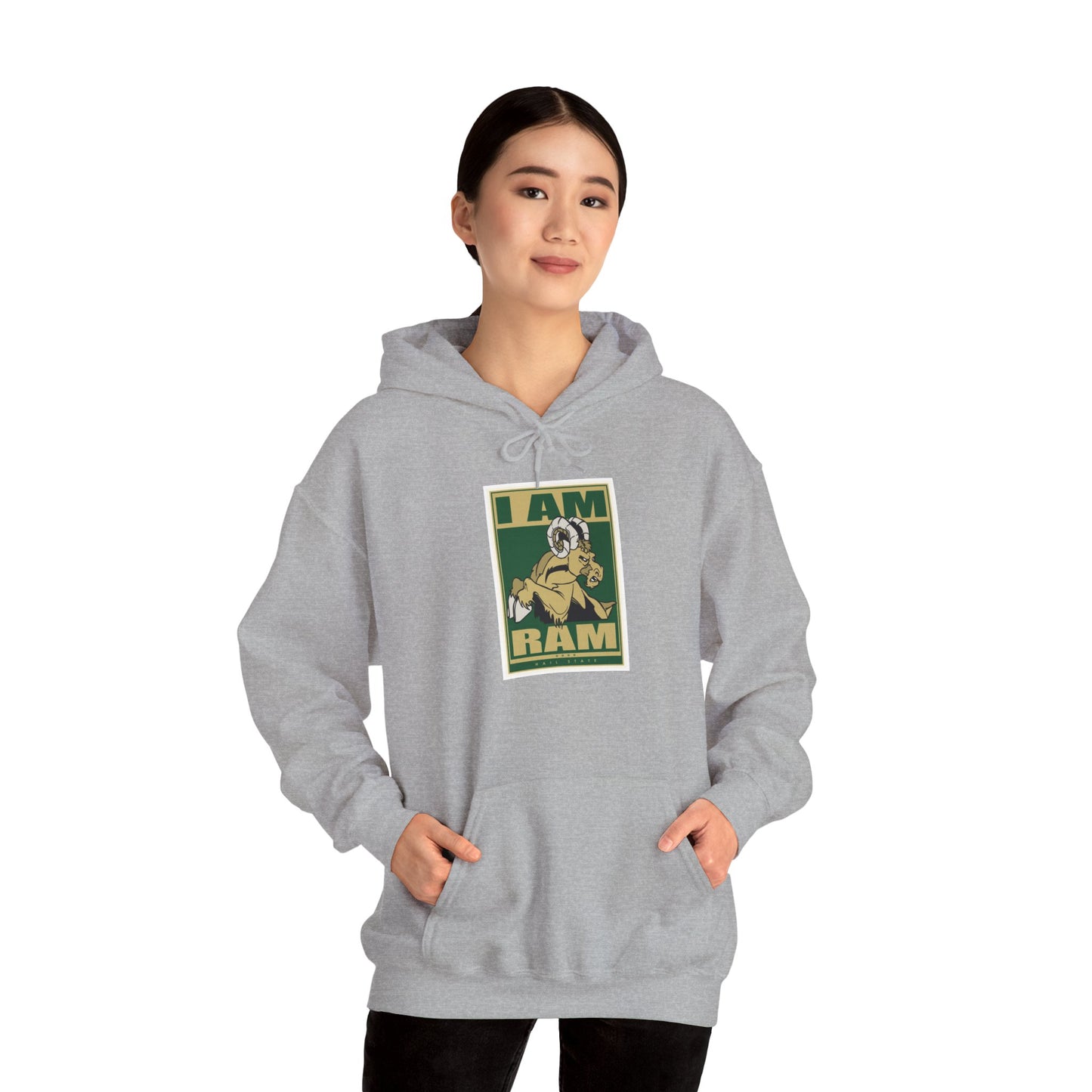 Colorado State Hoodie