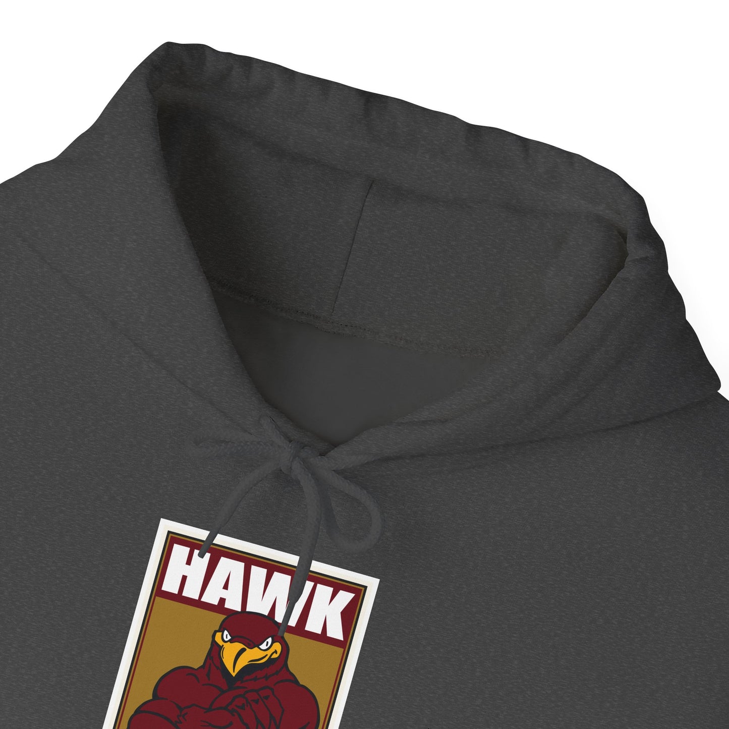 Louisiana Monroe Hoodie
