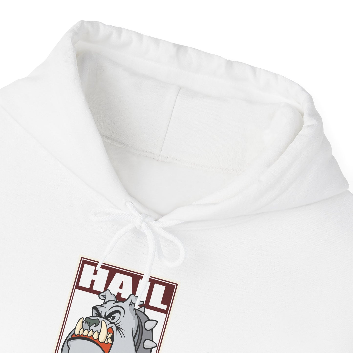 Mississippi State Hoodie