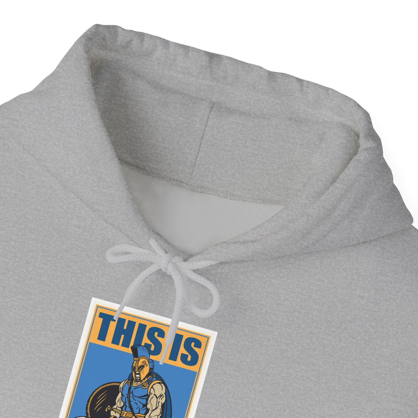 San Jose State Hoodie