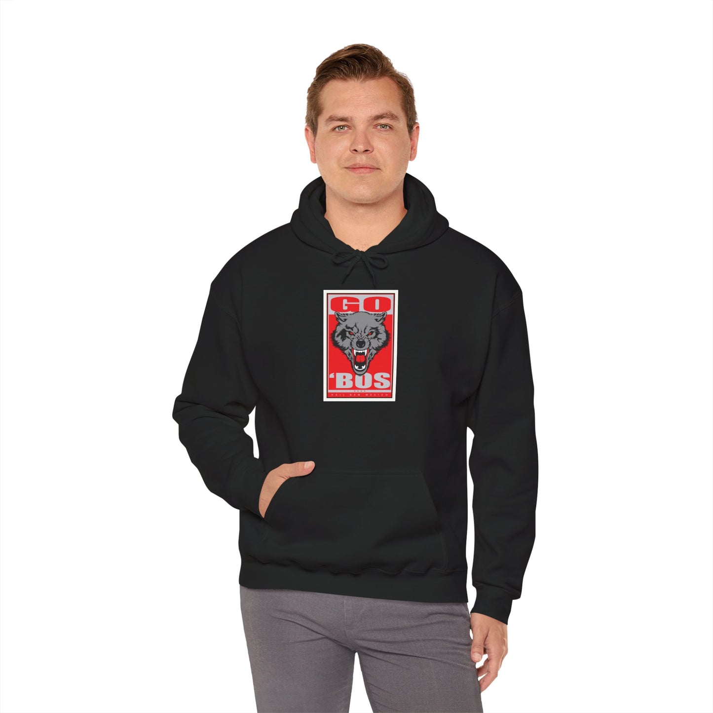 New Mexico Hoodie