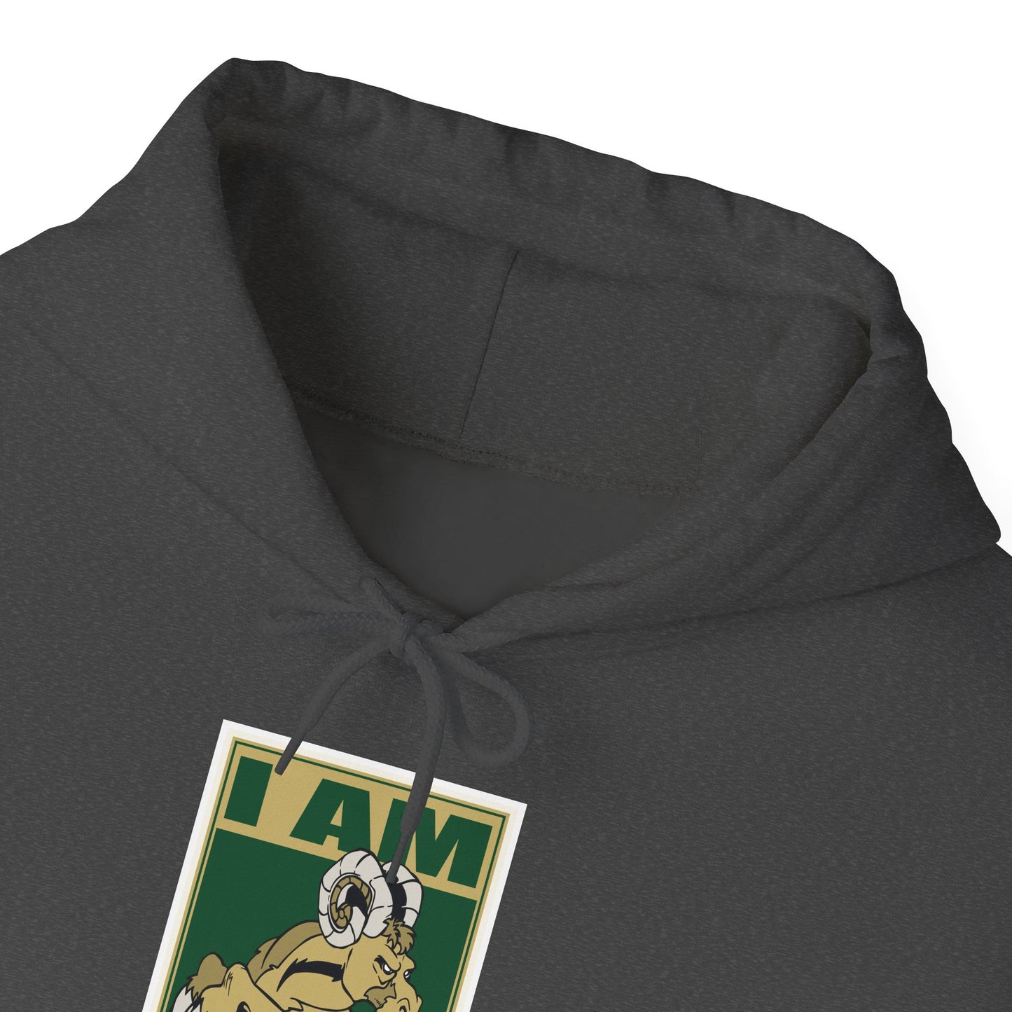Colorado State Hoodie