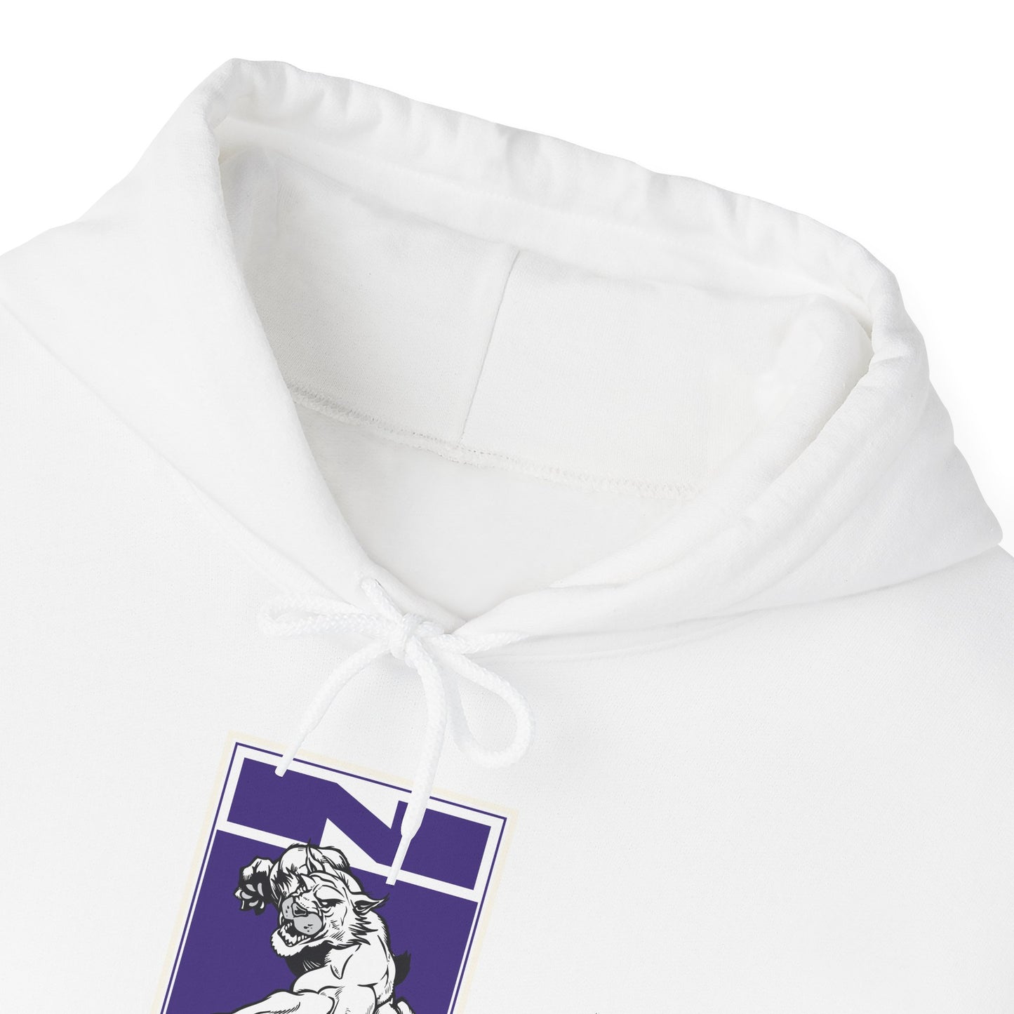Northwestern Hoodie