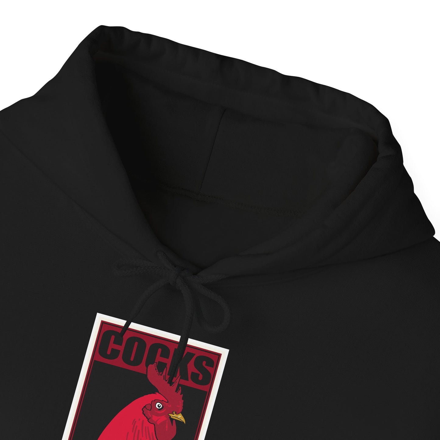 South Carolina Hoodie
