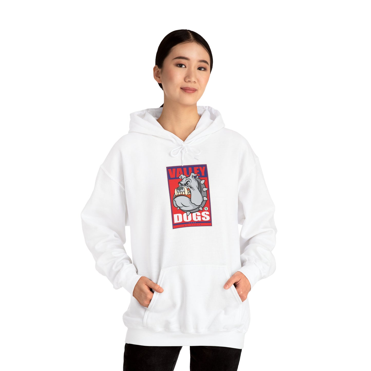 Fresno State Hoodie