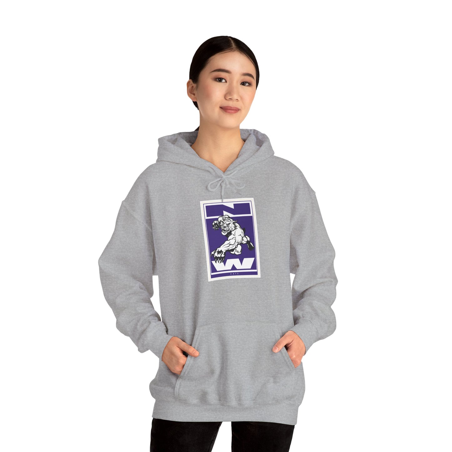 Northwestern Hoodie