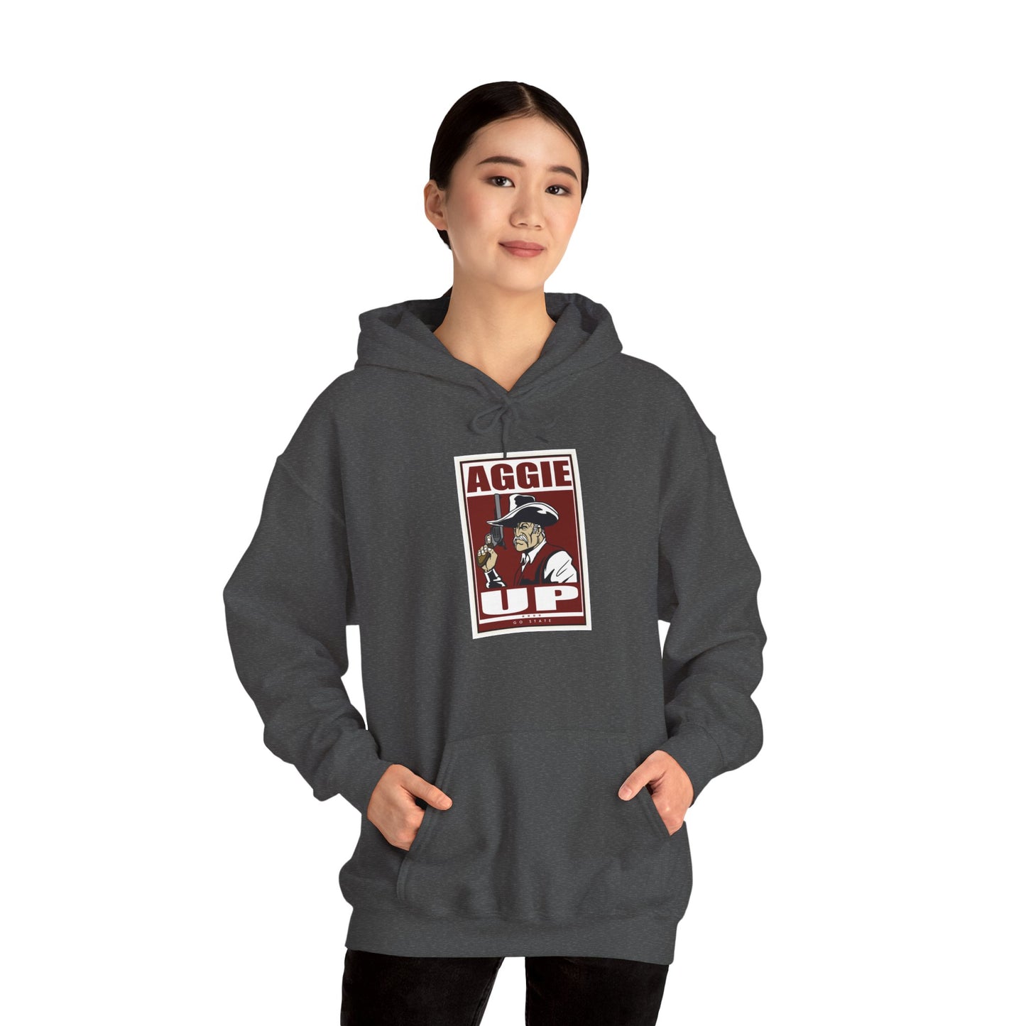 New Mexico State Hoodie