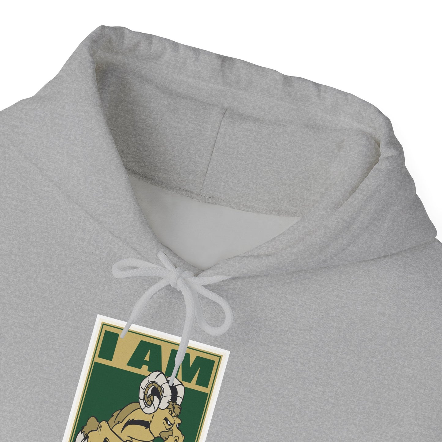 Colorado State Hoodie