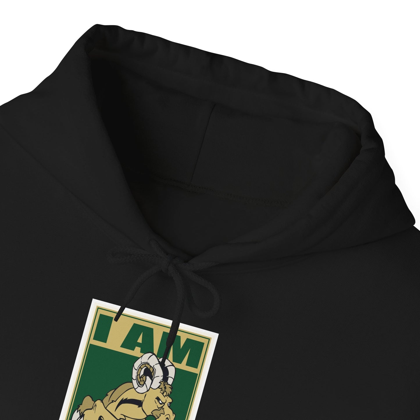 Colorado State Hoodie