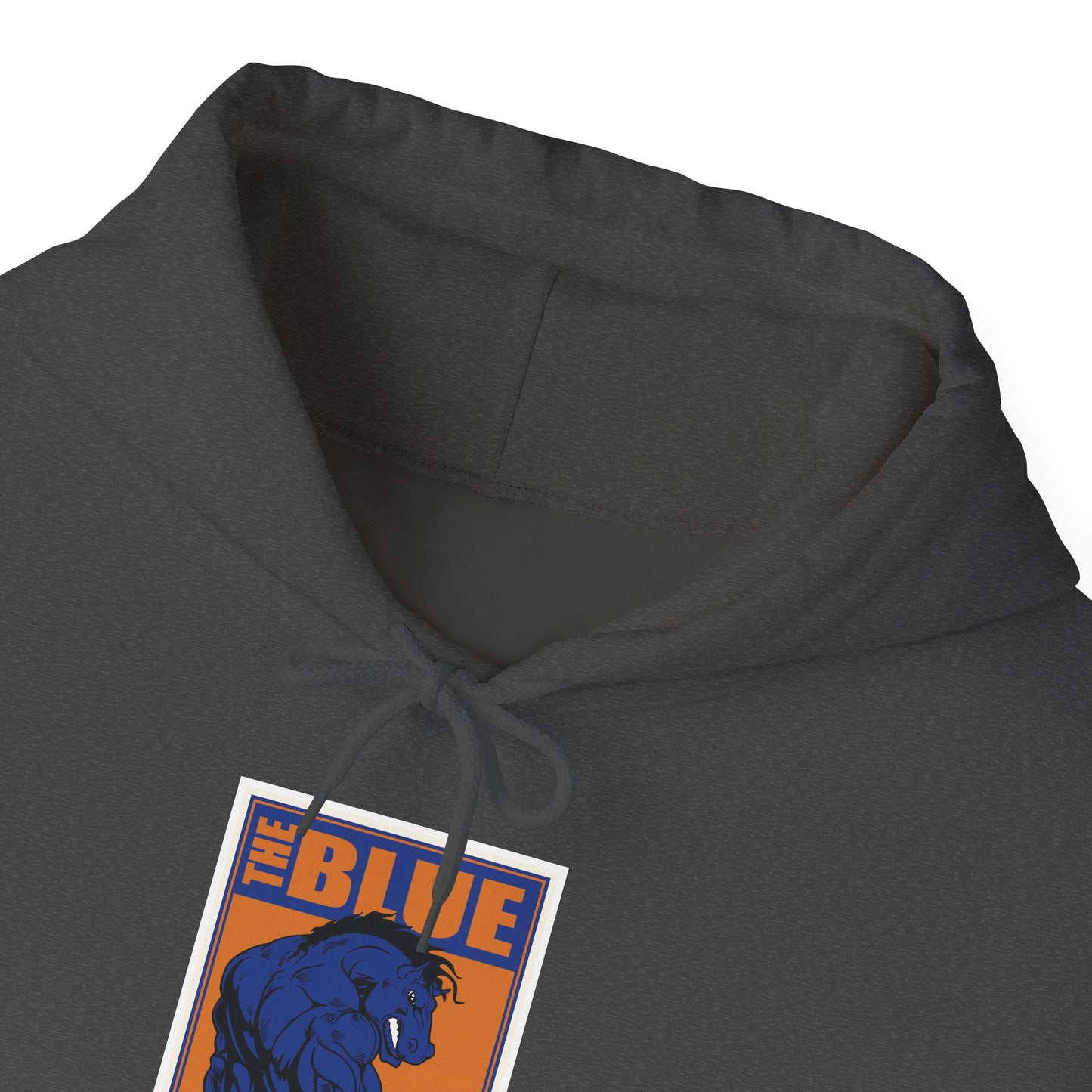 Boise State Hoodie