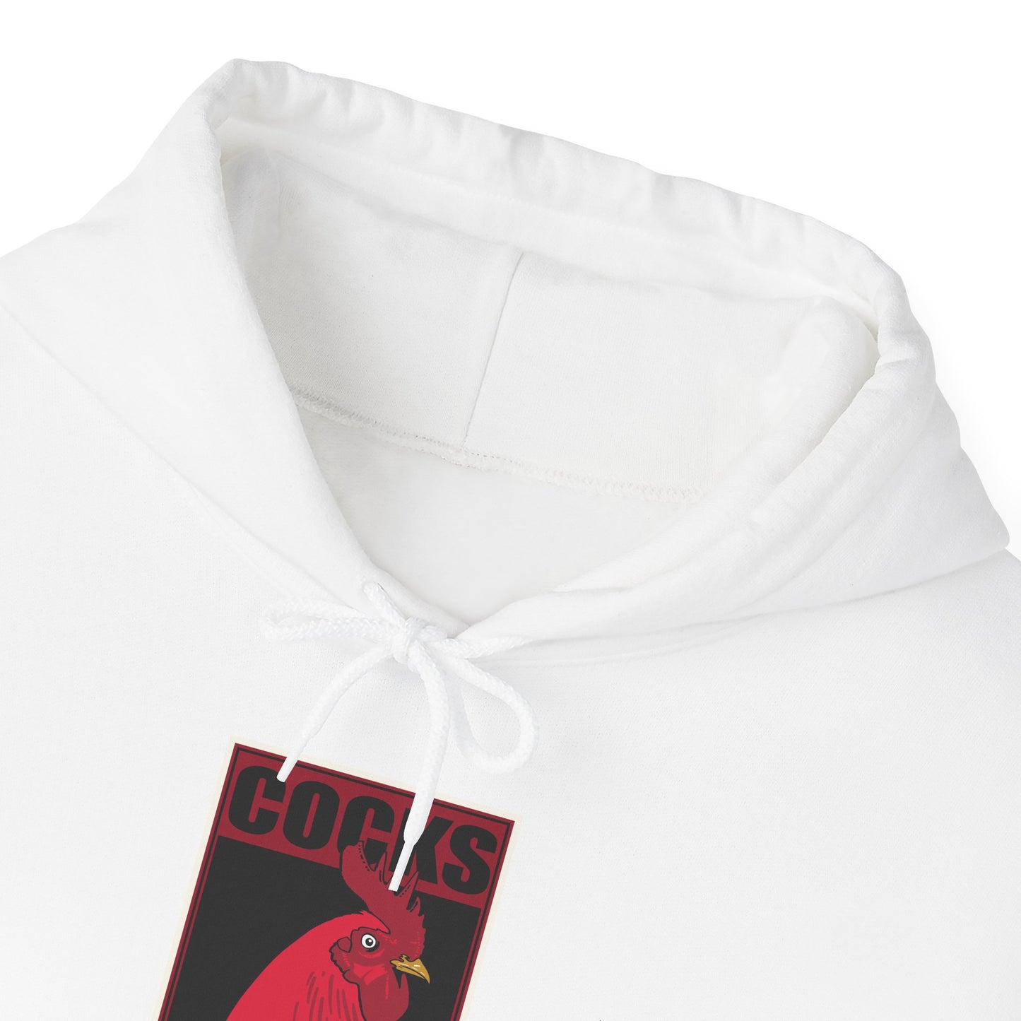 South Carolina Hoodie