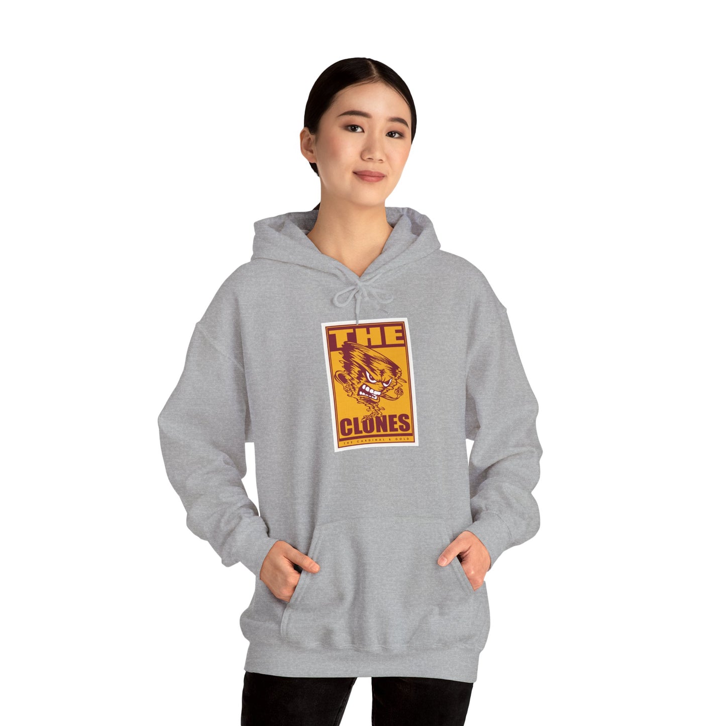 Iowa State Hoodie