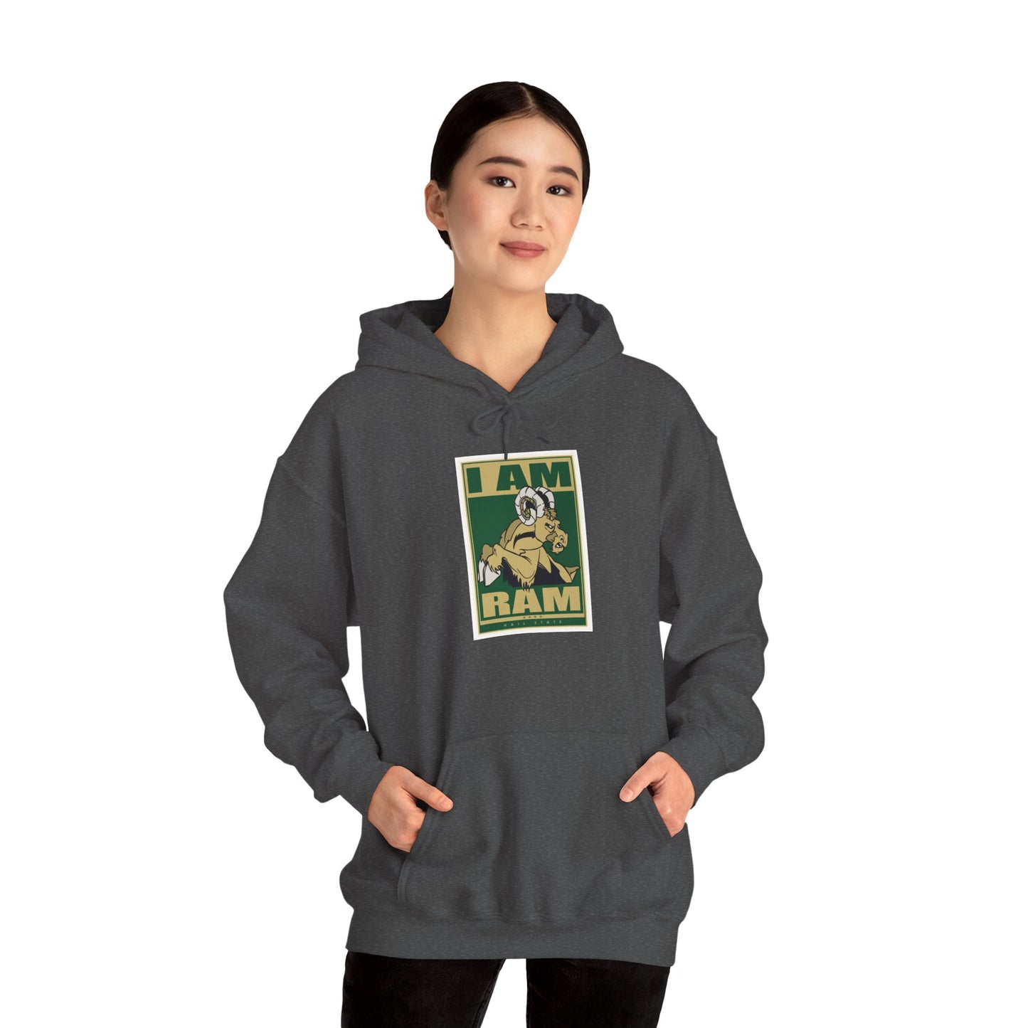 Colorado State Hoodie