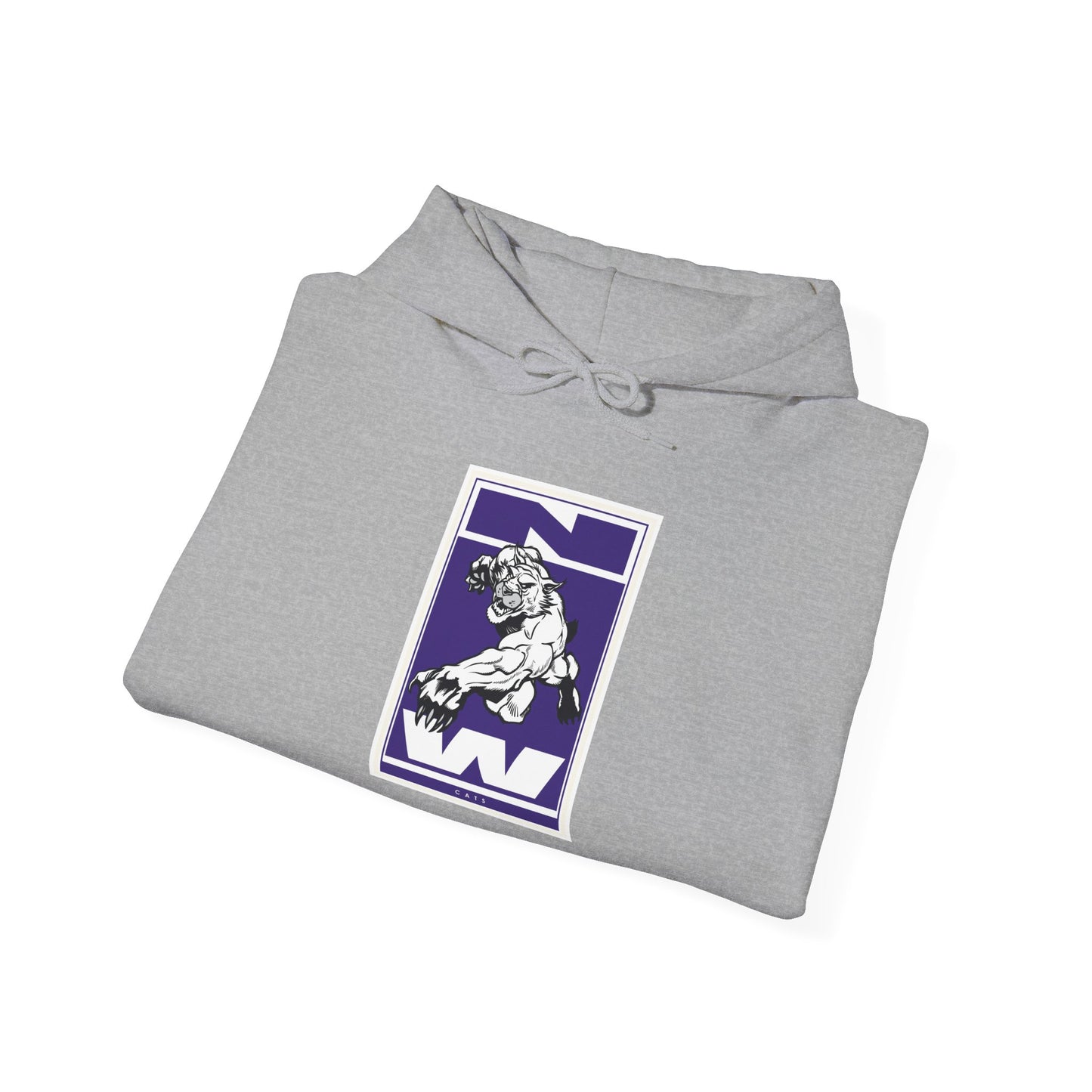 Northwestern Hoodie