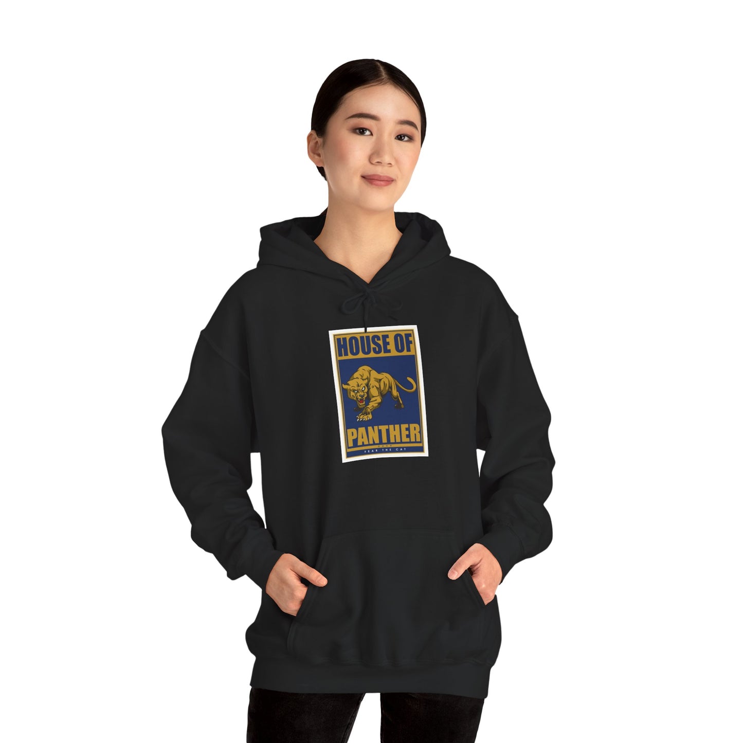 Florida International Hoodie