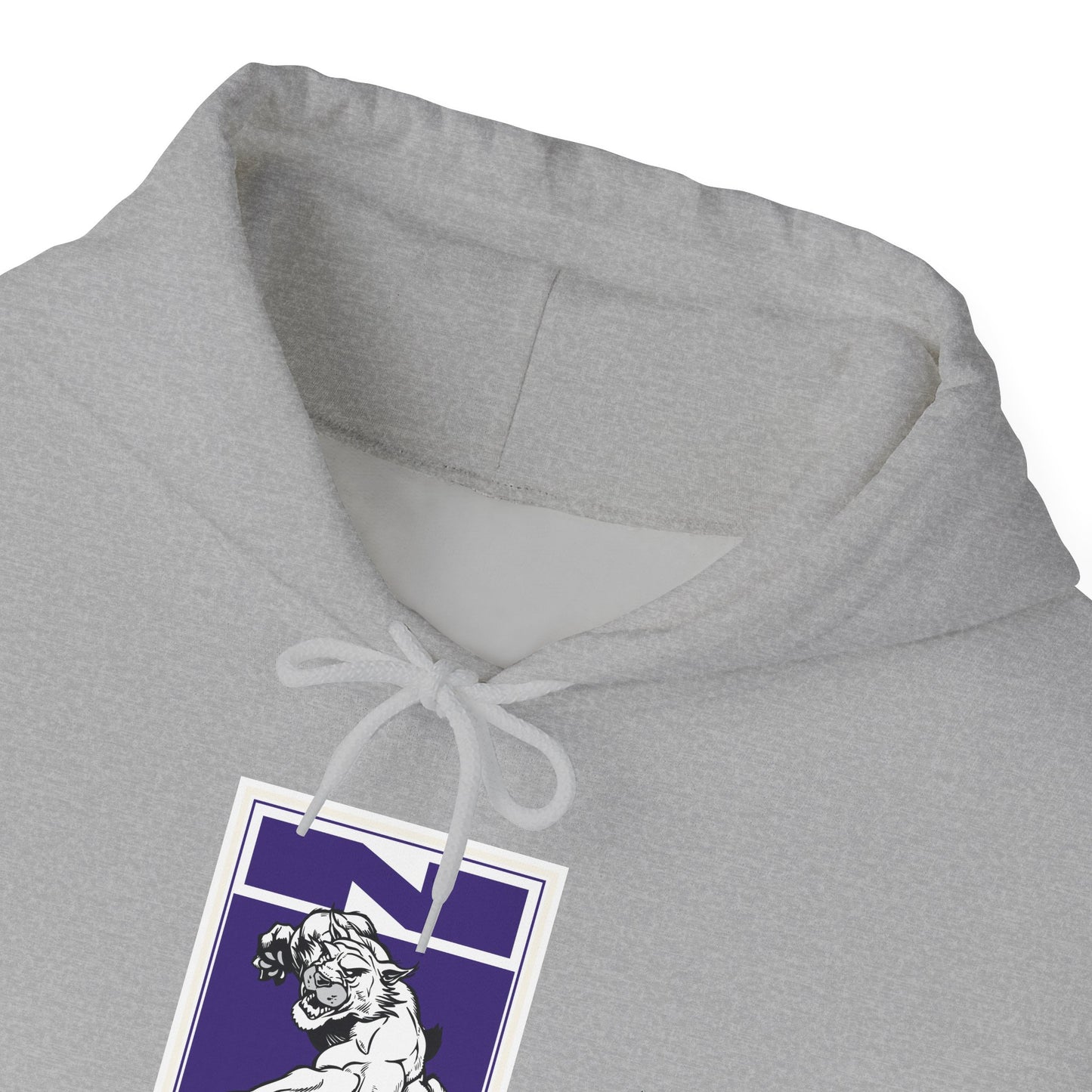 Northwestern Hoodie