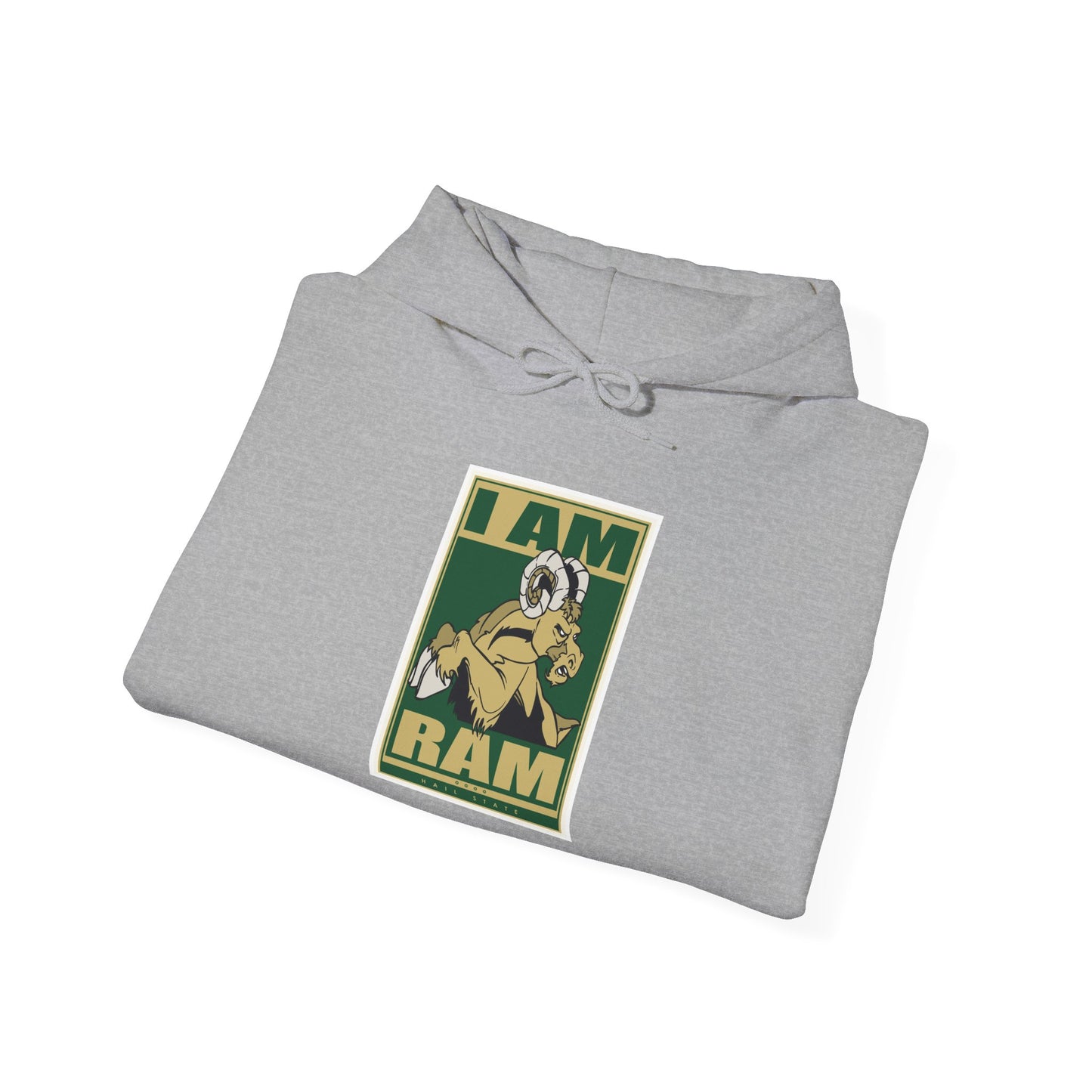 Colorado State Hoodie