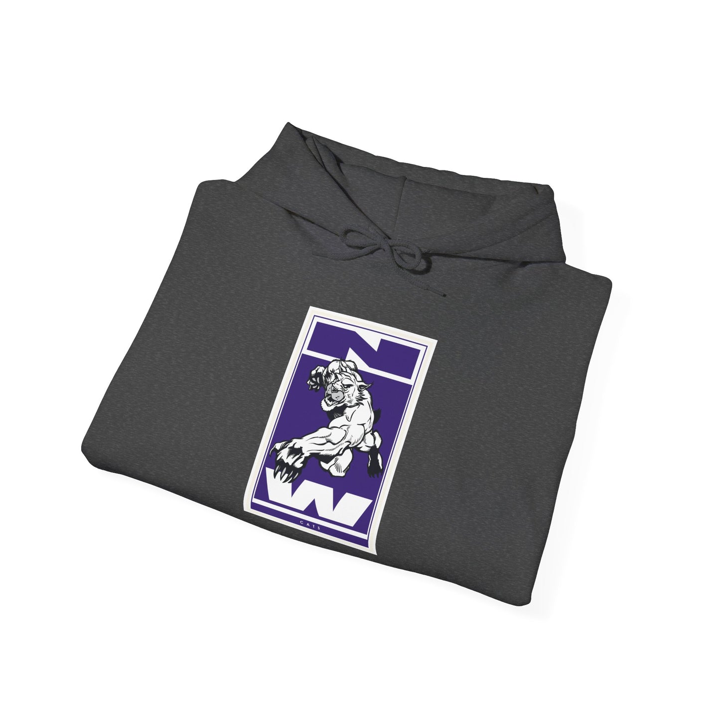 Northwestern Hoodie
