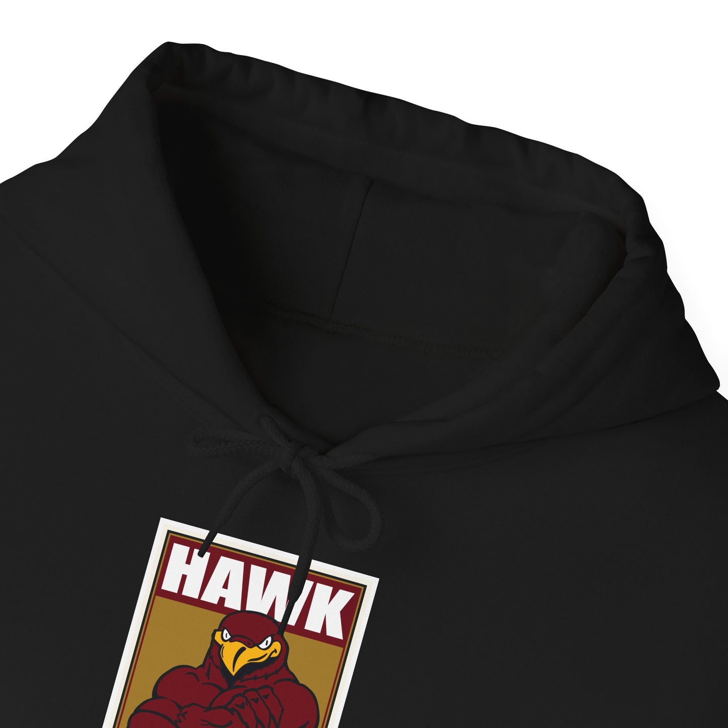 Louisiana Monroe Hoodie