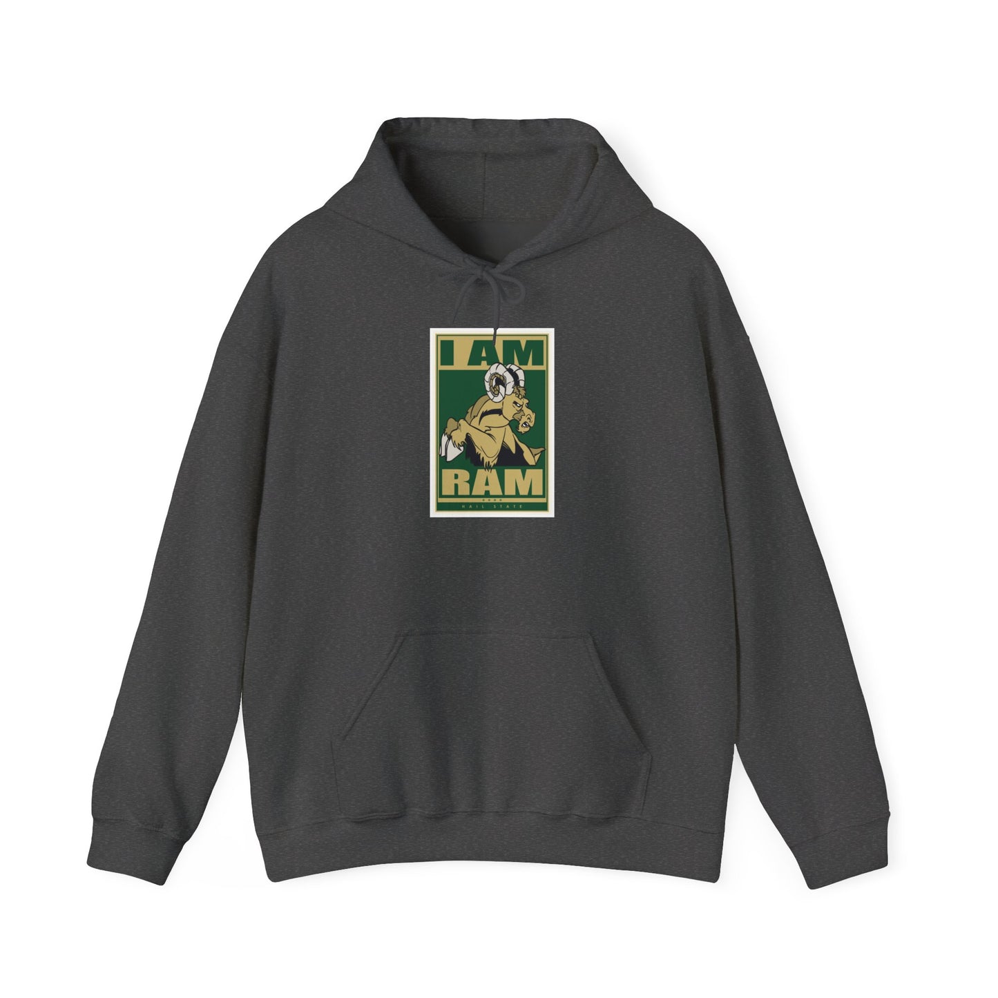 Colorado State Hoodie