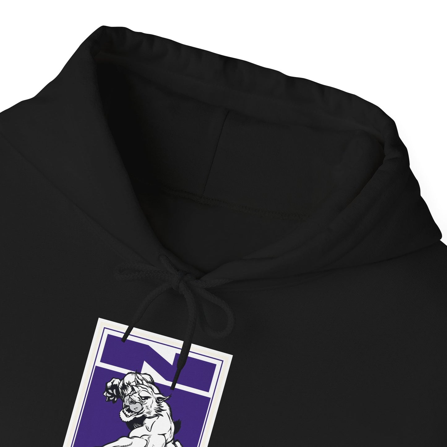 Northwestern Hoodie