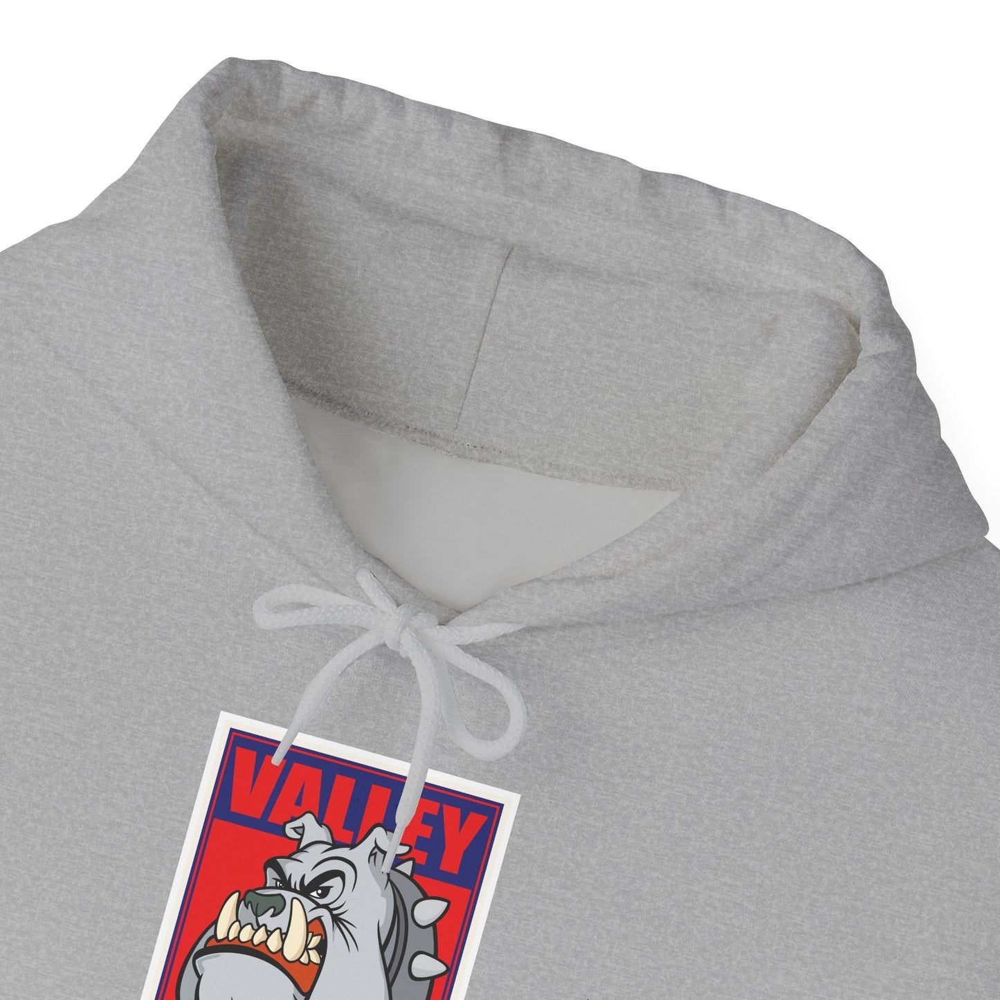 Fresno State Hoodie