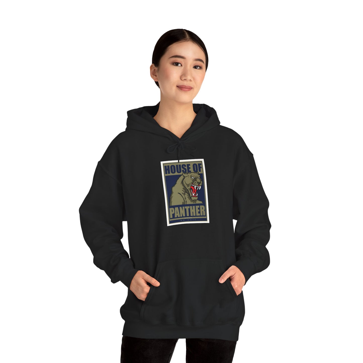 Pittsburgh Hoodie