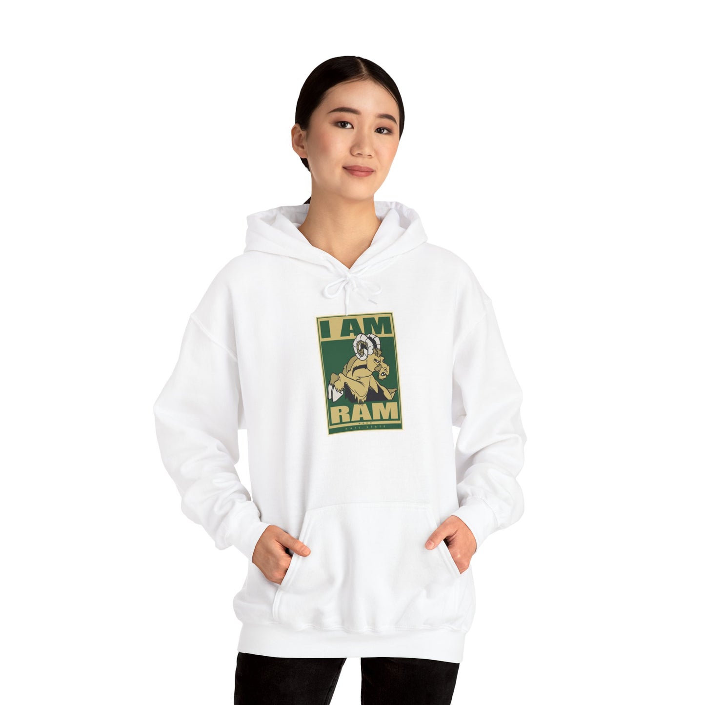 Colorado State Hoodie