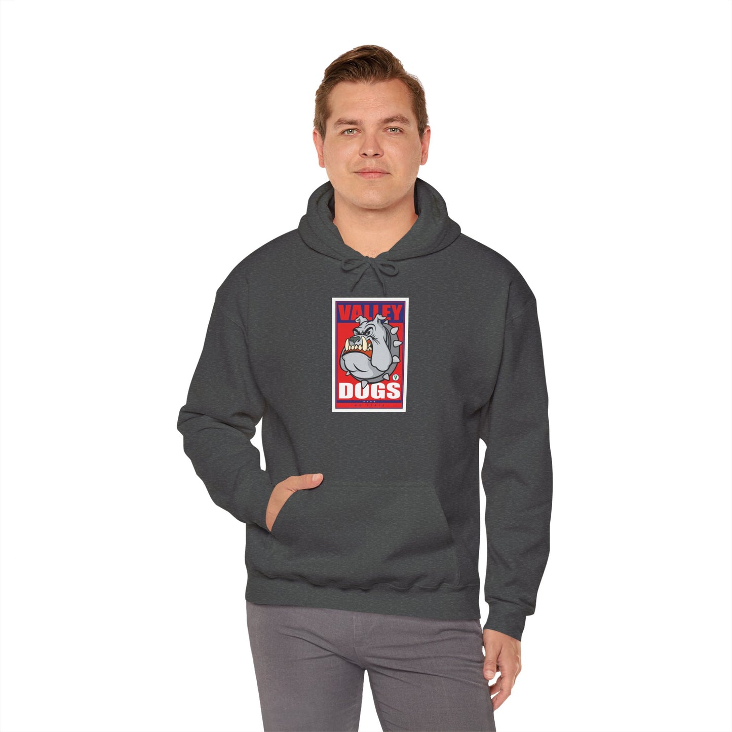Fresno State Hoodie