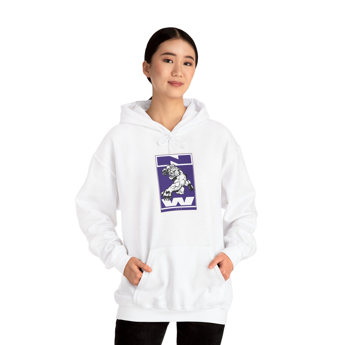 Northwestern Hoodie